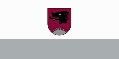 Flag of Balvi Municipality. Bendera Munisipalitas Balvi. Balvi Municipality Flag. Flag of Municipality of Balvi. Municipality of Balvi Flag. Balvu novada karogs. Drapeau de la municipalité de Balvi. Bandeira do Município de Balvi. バルヴィ市の旗. 巴尔维市旗帜