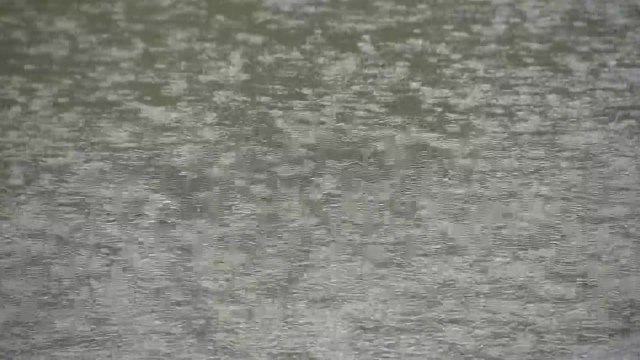 장맛비로 전국 31명 일시 대피...소방 활동 450여 건 / YTN