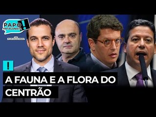 Salles e suas confusões ecossistêmicas - PAPO com Mario Sabino