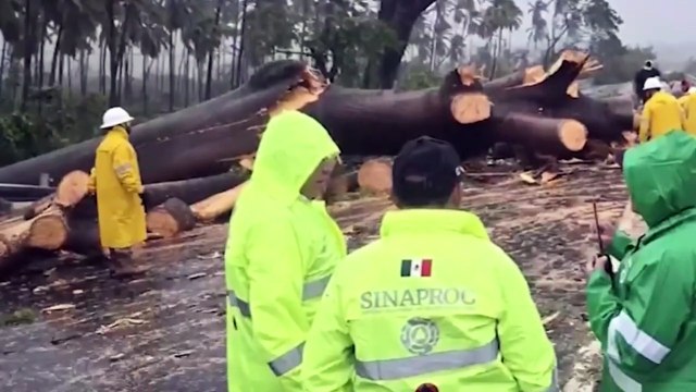 Sedena informa sobre apoyo a comunidades afectadas por el huracán Erick en el sur del país