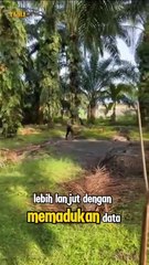 Tergiur Rp150 Juta, Kurir dan Biduan dari Siak Nekat Selundupkan 15 Kg Sabu