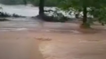 छत्तीसगढ़: नदी में डूबे 2 महिला समेत चार लोग