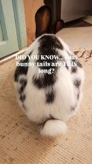 Hey, so I don't like that.