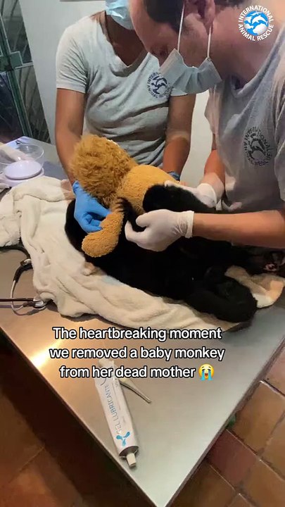 The world needs to know that this is happening! Sign the petition at the link in bio and let Estrellita’s story be the one that finally encourages change!