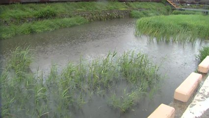 장맛비로 43명 대피...소방 활동 550여 건 / YTN