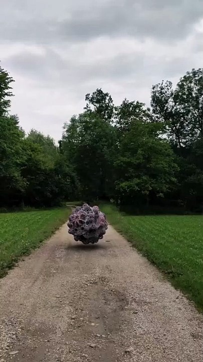 Oh no!  I keep mine in a fish tank.  Is this what will happen if I let it out