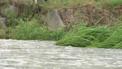 [날씨] 남부 중심 장맛비 100mm 더 내린다...이 시각 중랑천 / YTN