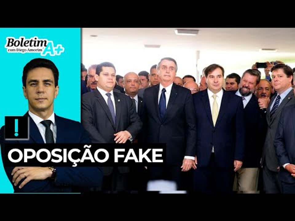 Oposição fake