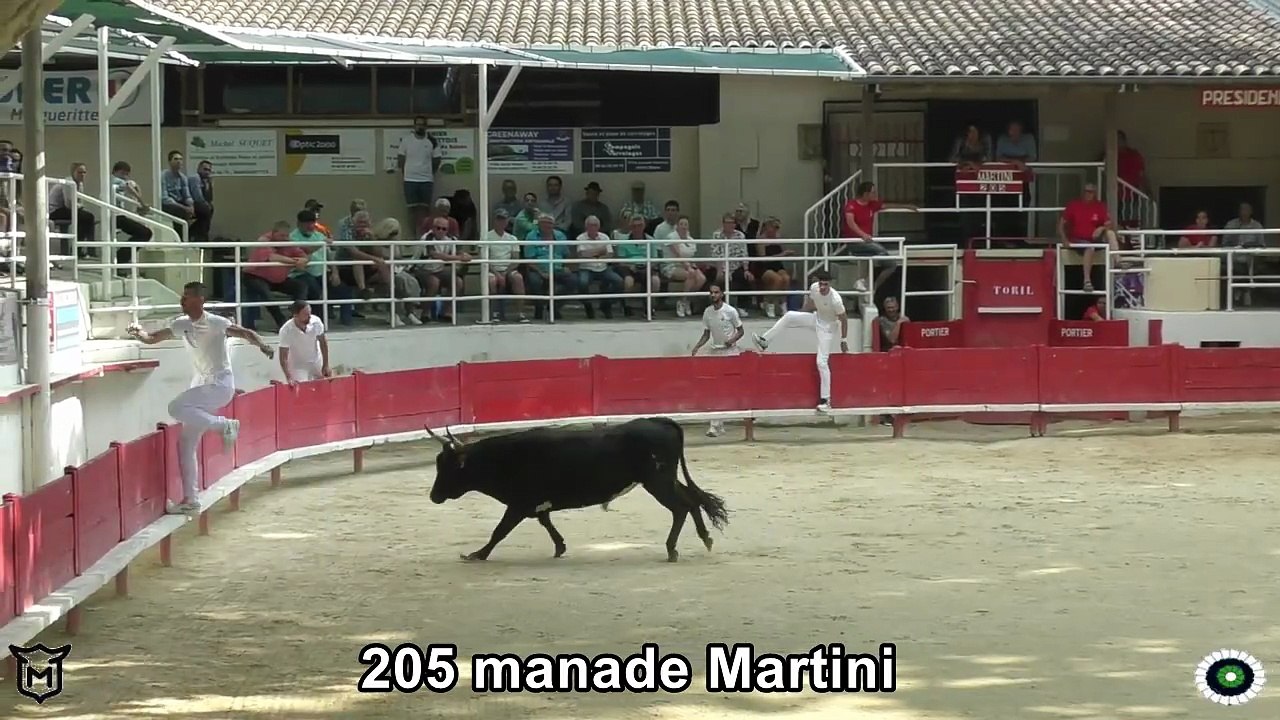 2025 06 07 Martini 205