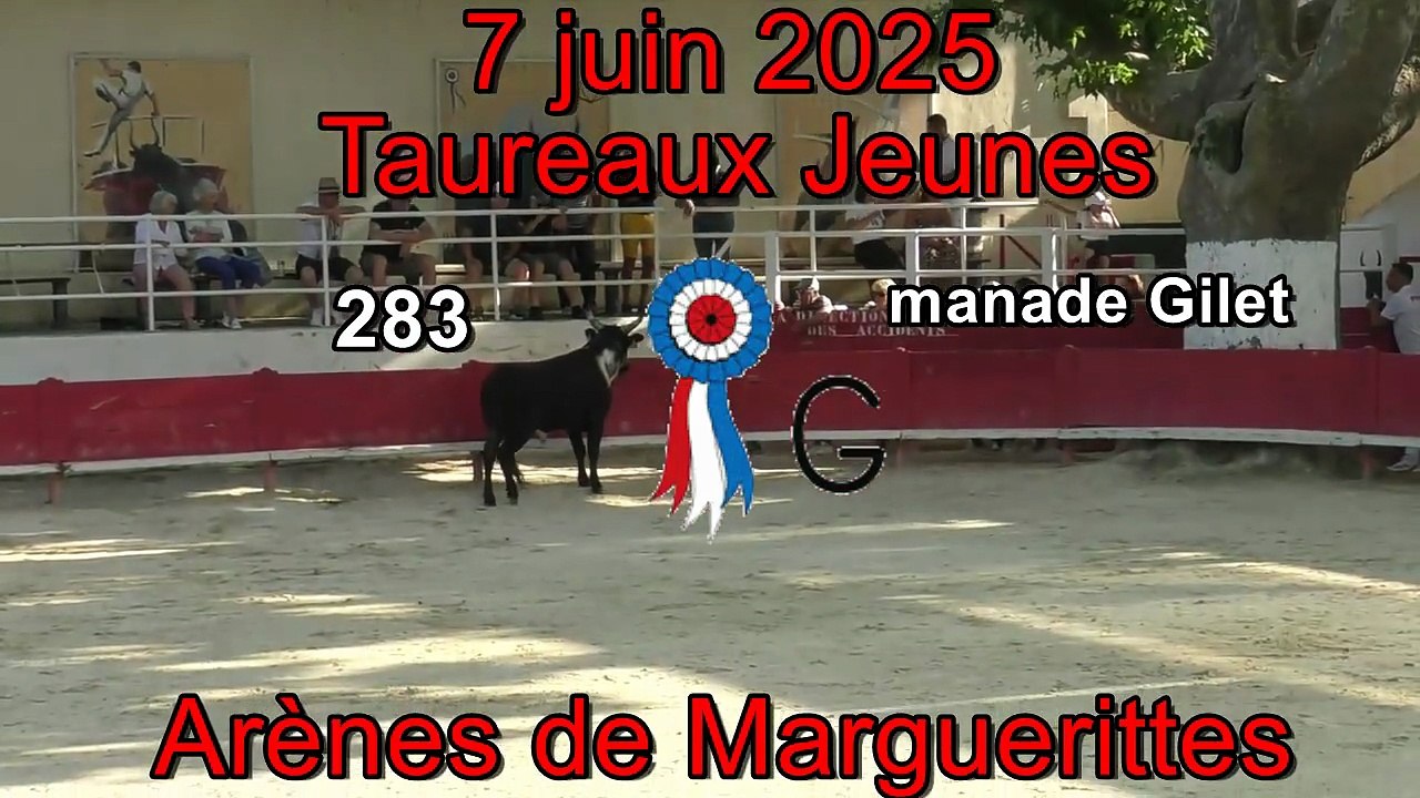 2025 06 07 Gilet 283