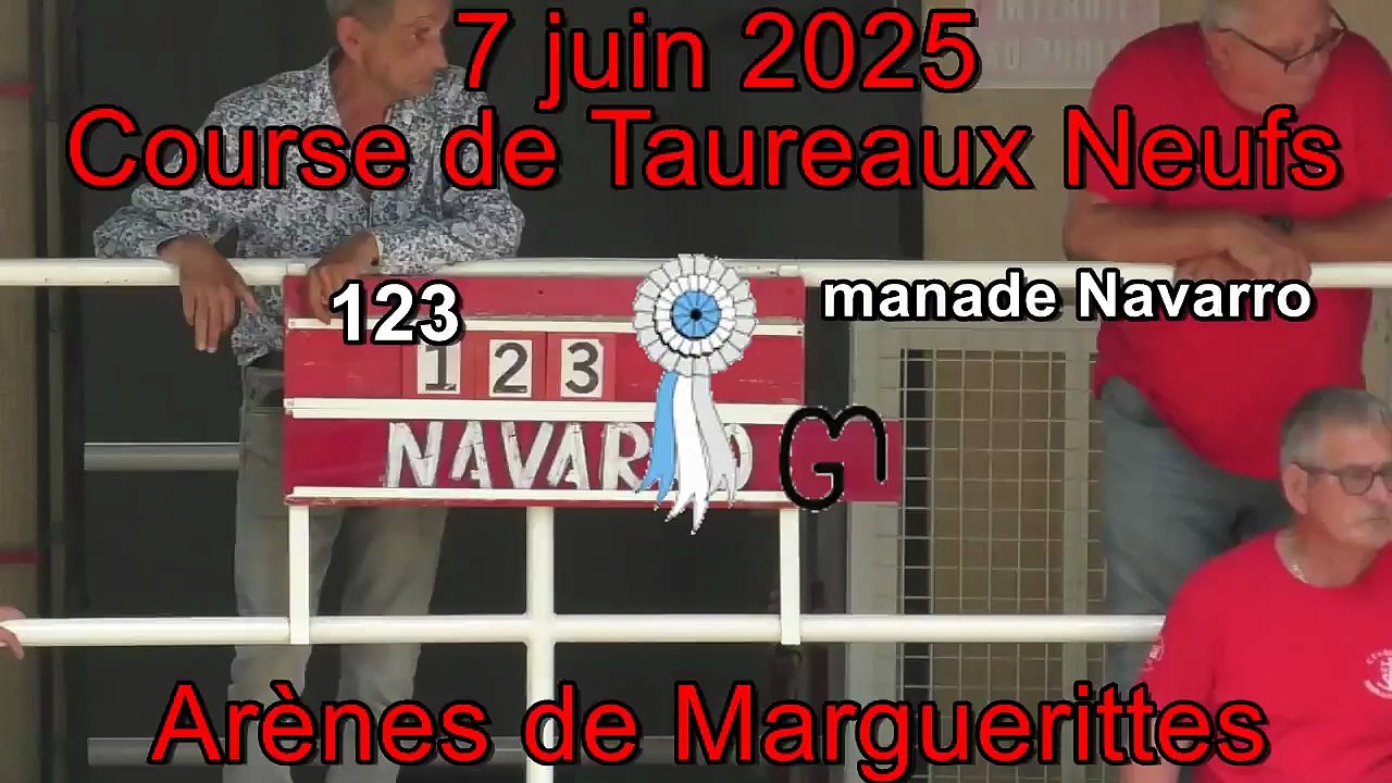 2025 06 07 Navarro 123