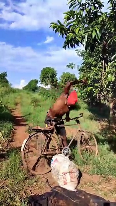 Funny video, tention relief, comedy, be happy.
