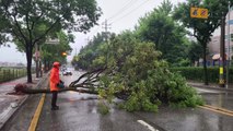 중부지방 이틀째 장맛비...침수·나무 쓰러짐 잇따라 / YTN