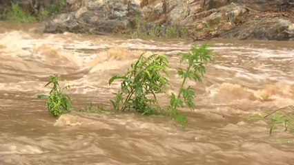 장맛비로 43명 대피...옹벽 붕괴에 비닐하우스 파손도 / YTN