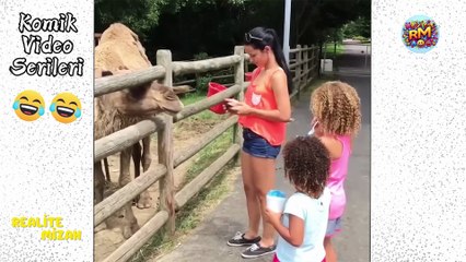 Komik Videolar Serisi | İnsan Ve Hayvanların Komik Anları