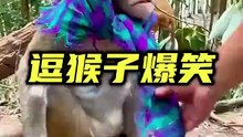 每日一乐、拒绝抑郁