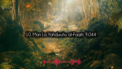 " introduction to Hadith Collection and the Qur'anic point of view.