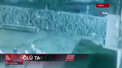 Diyarbakır'da kurdun kaptığı koyun ölü taklidi yaparak kurtuldu