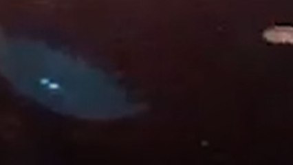 अलवर-भरतपुर हाइवे हादसों को कैसे दे रहा न्योता