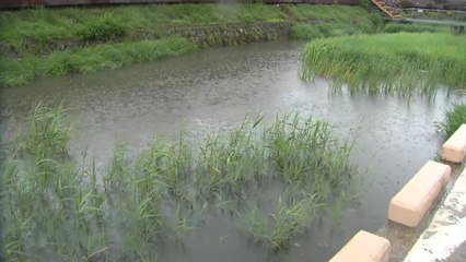 장맛비로 43명 대피...시설물 피해 잇따라 / YTN