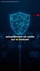 Alerte rouge : Fuite de plus de 16 milliards de mots de passe