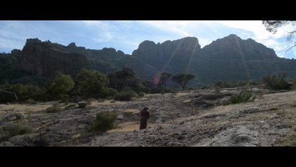 jamais seul dans les bois