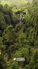 Forests & Your Health: Reduce Stress, Improve Sleep – The Power of Nature! 🌲😴