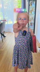 Katana Beast unboxing