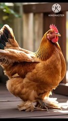 Happy Yoga Day| 10 Miniute Yoga| International Yoga Day|