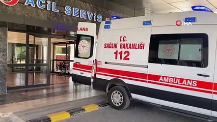 Ahırda süt sağan kadını kene ısırdı