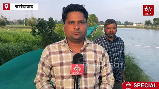 फरीदाबाद में मछली से लाखों की कमाई, खेती छोड़ धर्मवीर ने शुरू की थी फिश फार्मिंग, अब हो रही बंपर इनकम