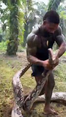 What is he doing with the snake