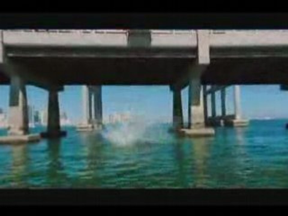 jackass tribute