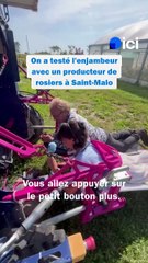 Un enjambeur de roses pour moins se casser le dos au travail !