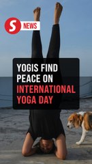 Yogis find peace on International Yoga Day