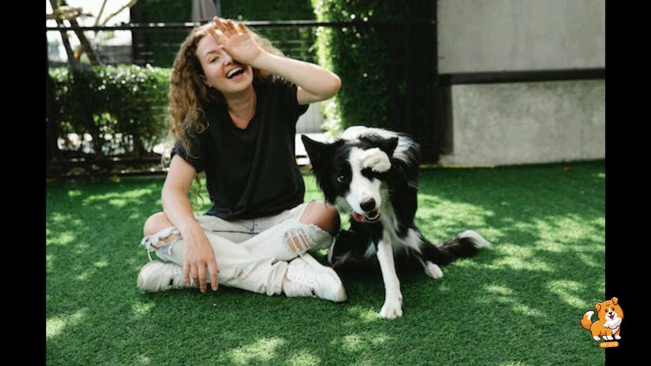 Common Heath Issues in Dogs & Their Prevention _ V9 _ Cute Dog Videos _ Dogs _ Puppy _ Dog _ Mr Dog