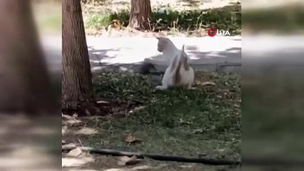 Diyarbakır'da ezber bozan görüntü