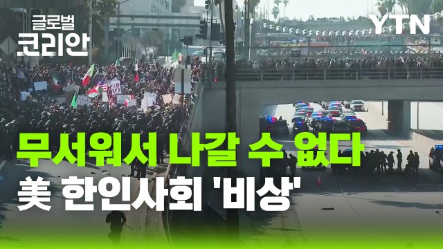 영상구성_전국 확산 조짐 보이는 LA 이민 단속 반대 시위…동포 사회 상황은? / YTN