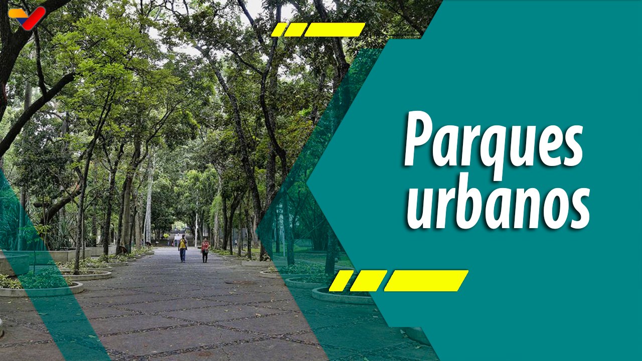 Punto Verde | Conozca cuál es la importancia de los parques dentro de las ciudades