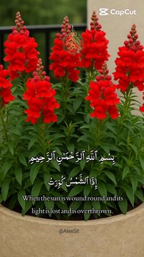 Quran Ki Aik Ayat Jo Zindagi Badal De | Al Quran Short Video | Quran Reminder #QuranShorts, #IslamicVideo, #QuranReminder, #AlQuran, #IslamicReels