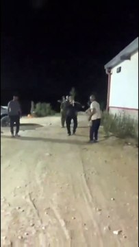 Attaque de colons israéliens à Yatta : des Palestiniens visés par des tirs dans un élevage de volailles