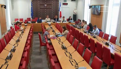 Délégation aux droits des femmes : Accompagnement à la parentalité - Mardi 24 juin 2025