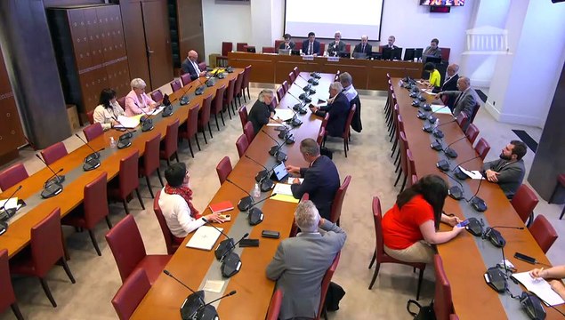 Commission des affaires sociales : Défaillances des politiques publiques de prise en charge de la santé mentale et du handicap - Mardi 24 juin 2025