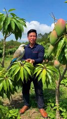 Chines Funny video 😁😁😁 ||| End Must Be Funny