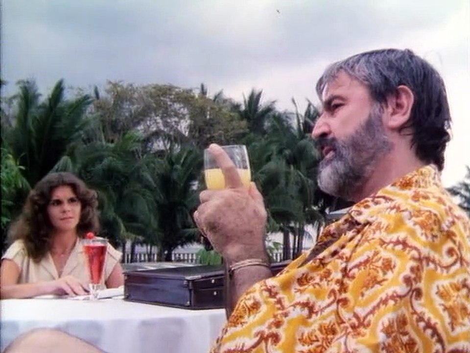 Los Ninjas de la Justicia 1984 Español España Castellano - Ninja's Force