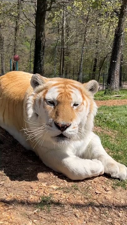 so big,