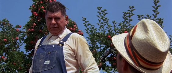 the curse / 1987 movie