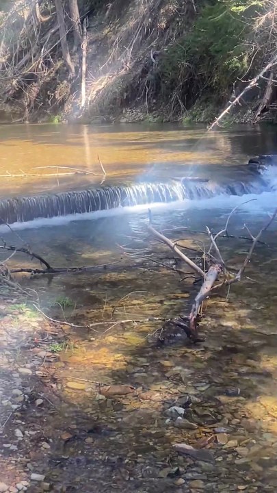 #river