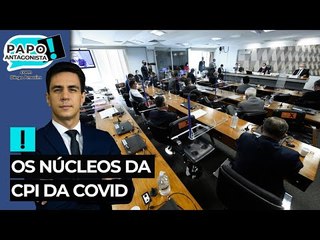 Os núcleos da CPI da Covid