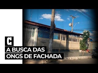 EXCLUSIVO: O DINHEIRO PARA ONGS DE FACHADA